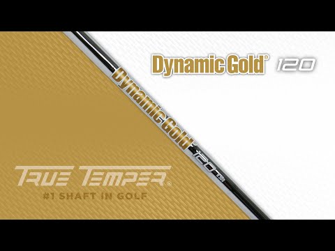 True Temper Dynamic Gold 120 Iron Steel Shaft (0.355" Tapered Tip)