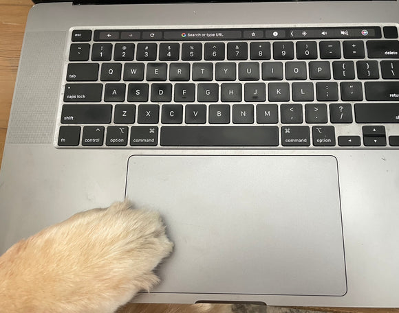 Graphite Design Tour AD HD Graphite Shaft